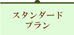 スタンダードプラン