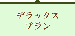 デラックスプラン