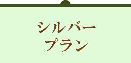 シルバープラン