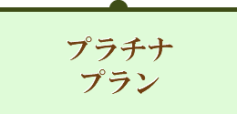 プラチナプラン